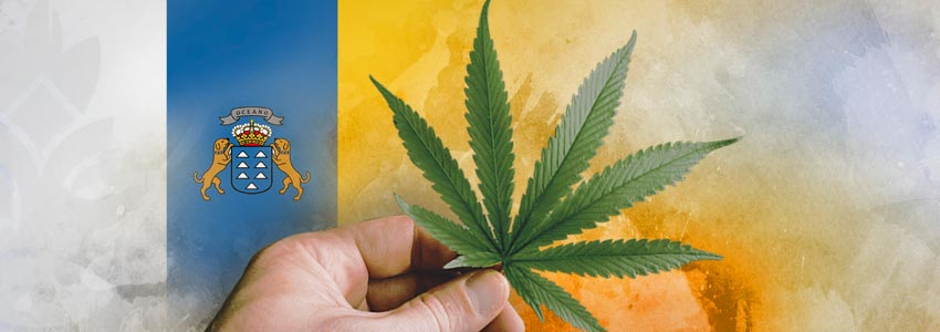 Nazioni Più Tolleranti Nei Confronti Della Cannabis: Isole Canarie